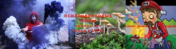 ГАЛЛЮЦИНОГЕННЫЕ ГРИБЫ Барнаул