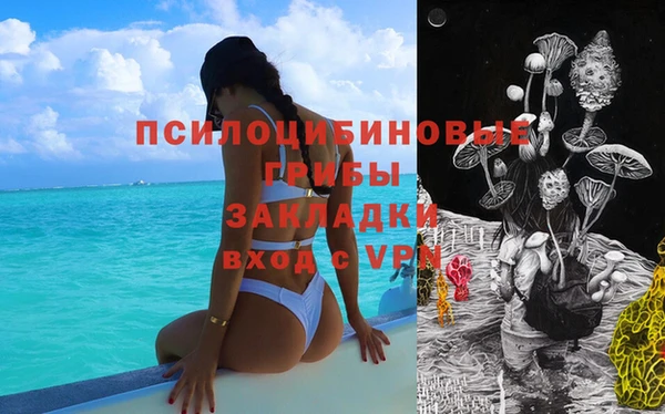 ГАЛЛЮЦИНОГЕННЫЕ ГРИБЫ Барнаул